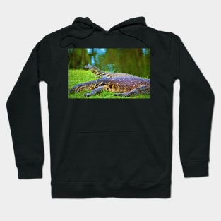 Giant Monitor Lizards Hoodie